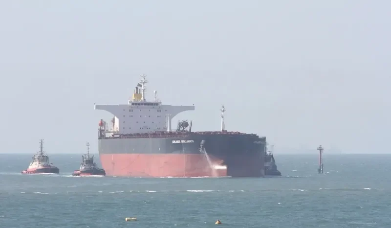 SHINYO FORTUNE Bulk Carrier IMO 9227003 photo 2