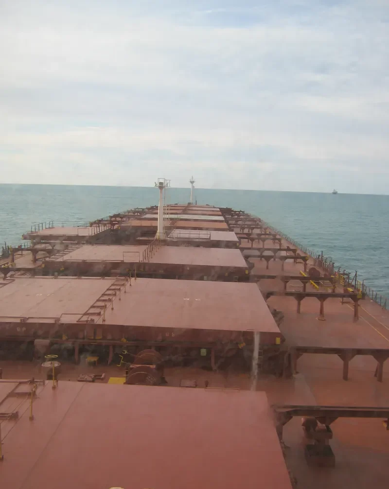 SHINYO FORTUNE Bulk Carrier IMO 9227003 photo 7