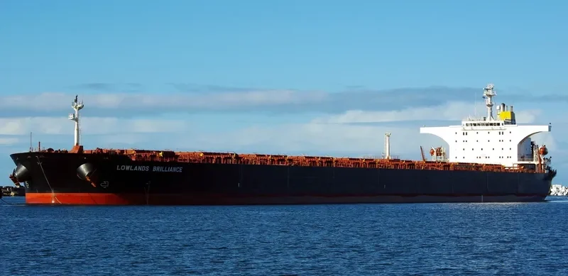 SHINYO FORTUNE Bulk Carrier IMO 9227003 photo 8
