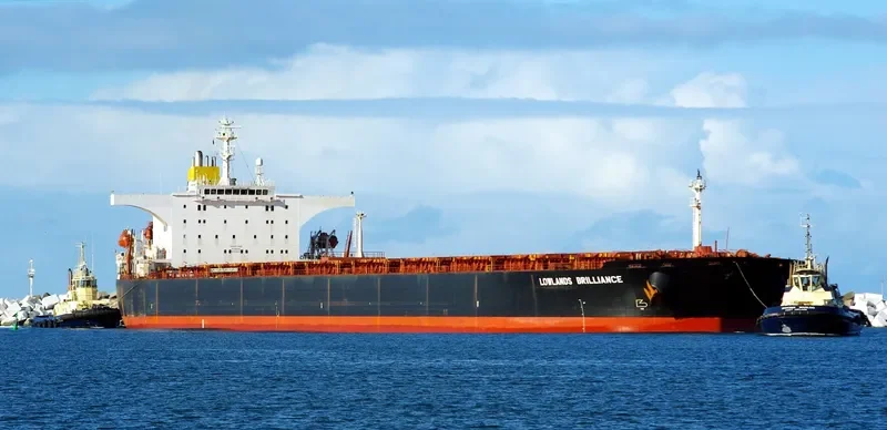 SHINYO FORTUNE Bulk Carrier IMO 9227003 photo 9