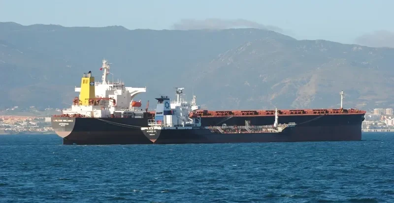 SHINYO FORTUNE Bulk Carrier IMO 9227003 photo 10