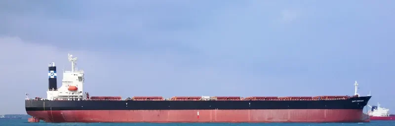 CAPT STEFANOS Bulk Carrier IMO 9227194 photo 6