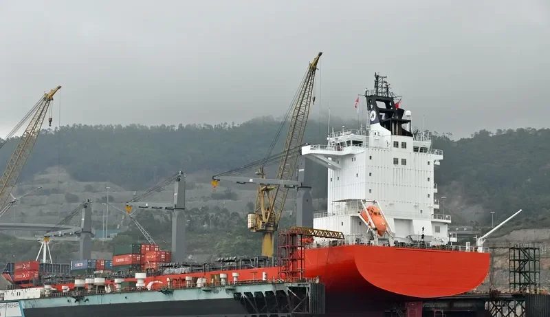 MSC YANG R Container Ship IMO 9227285