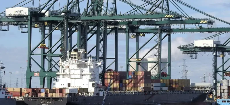 MSC ZLATA R Container Ship IMO 9227314 photo 10