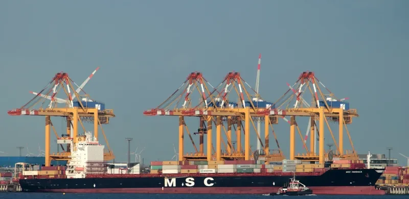 MSC VIDISHA R. Container Ship IMO 9227326 photo 2