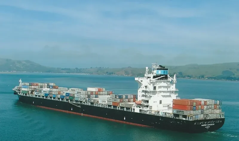 MSC JULIA R. Container Ship IMO 9227338