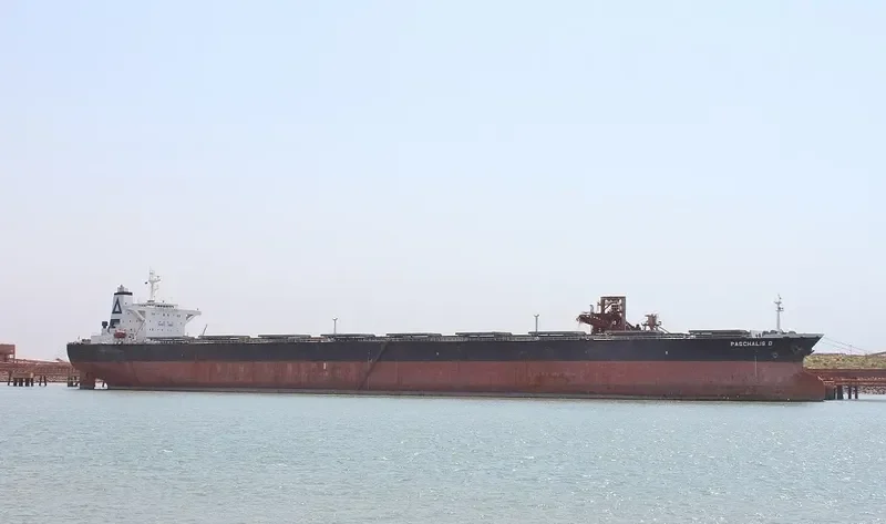 PASCHALIS D Bulk Carrier IMO 9227376 photo 2