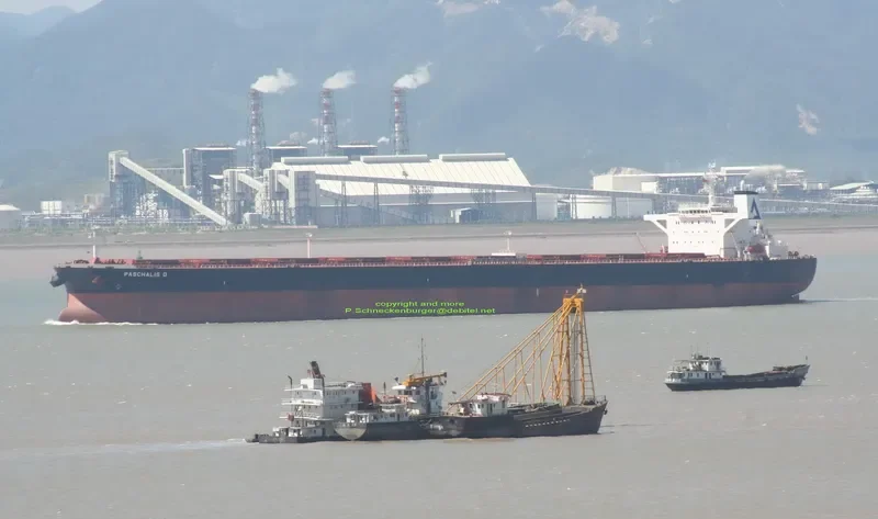 PASCHALIS D Bulk Carrier IMO 9227376 photo 5