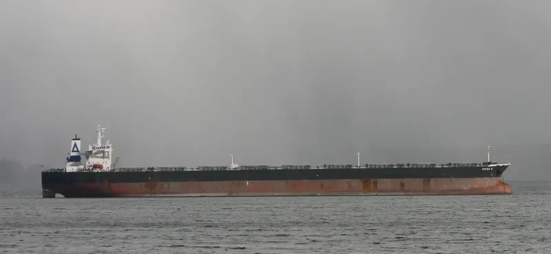 PITSA D Bulk Carrier IMO 9227388 photo 2