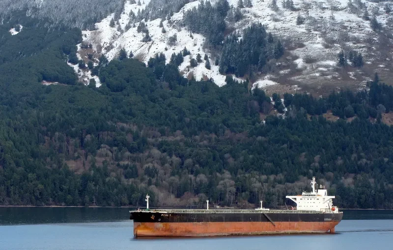 PITSA D Bulk Carrier IMO 9227388 photo 4