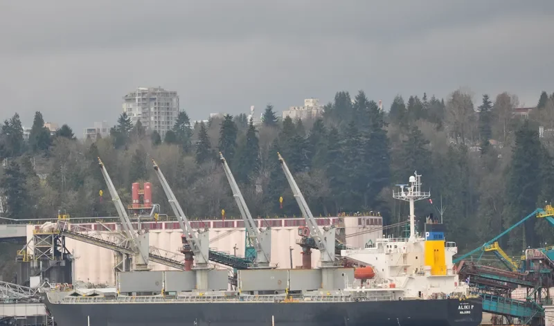 SHUN DING 29 Bulk Carrier IMO 9227467 photo 2