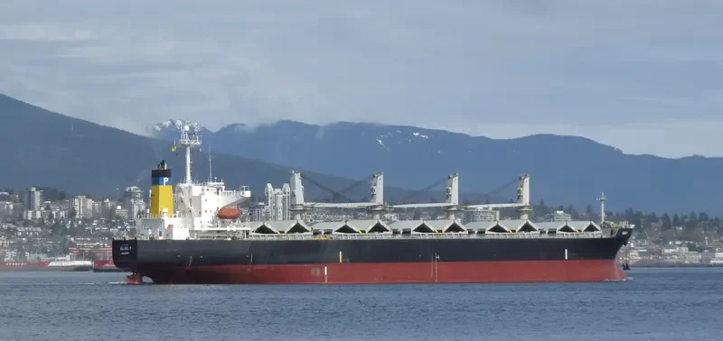 SHUN DING 29 Bulk Carrier IMO 9227467 photo 3