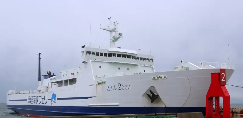 GOLDEN PEARL 5 Ro-Ro IMO 9227625 photo 9