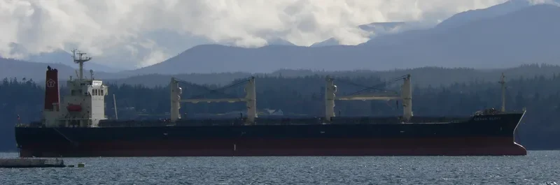 OCEAN GLORY Bulk Carrier IMO 9227637 photo 5