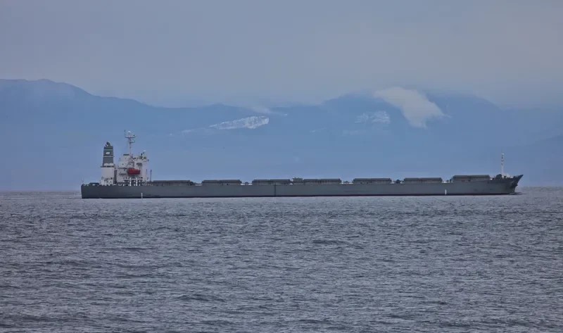DORIC ARROW Bulk Carrier IMO 9227649 photo 5