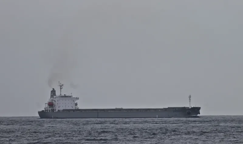 DORIC ARROW Bulk Carrier IMO 9227649 photo 6