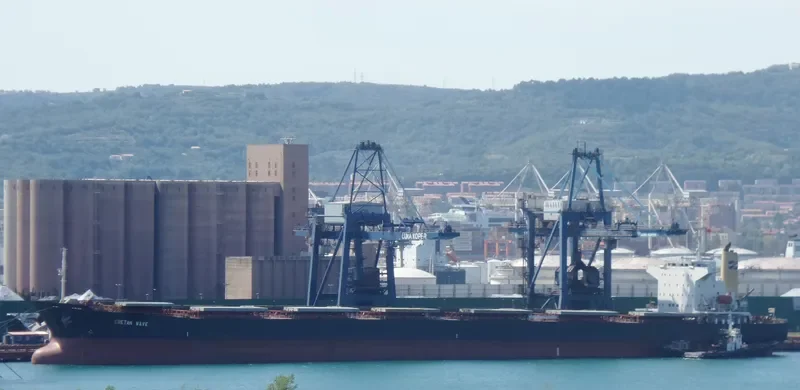 APJ UMA KISMAT Bulk Carrier IMO 9227675 photo 3