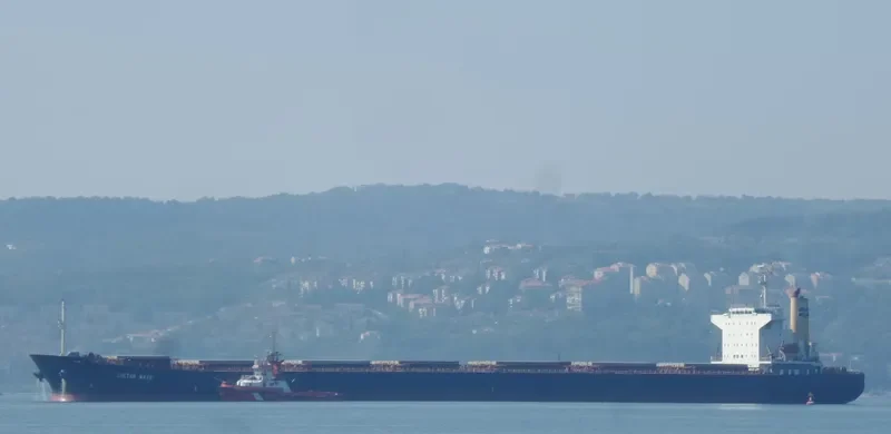 APJ UMA KISMAT Bulk Carrier IMO 9227675 photo 4