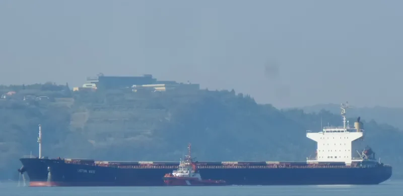 APJ UMA KISMAT Bulk Carrier IMO 9227675 photo 5