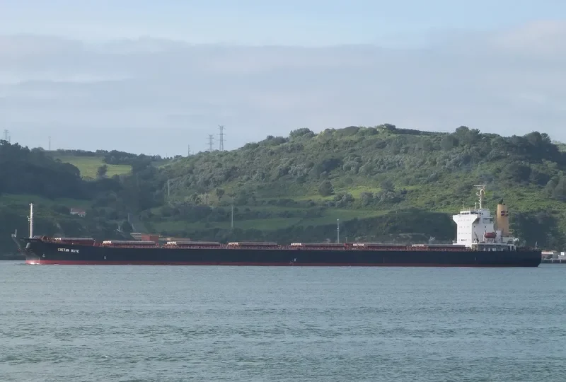 APJ UMA KISMAT Bulk Carrier IMO 9227675 photo 7