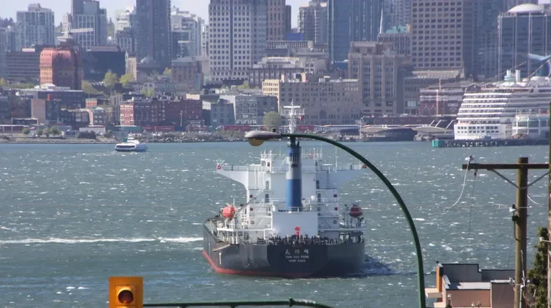 TIAN HUA FENG Bulk Carrier IMO 9227687 photo 4
