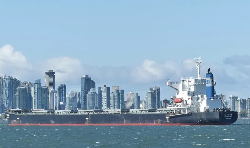 TIAN HUA FENG Bulk Carrier IMO 9227687 photo 6
