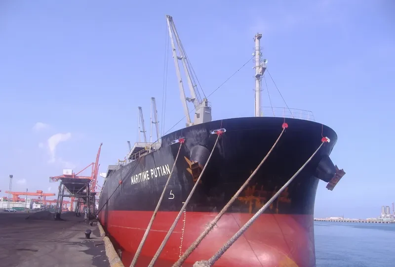 YU XIAO 2 Bulk Carrier IMO 9227704 photo 5
