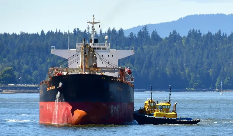 YU XIAO 2 Bulk Carrier IMO 9227704 photo 8