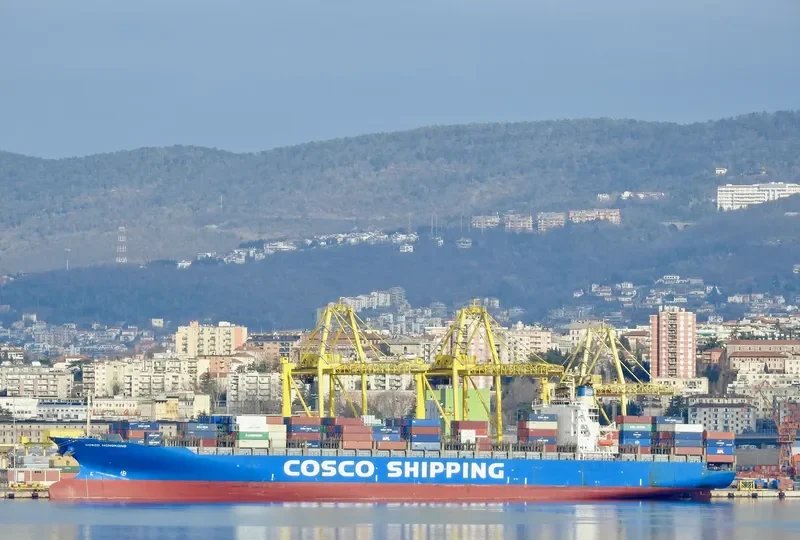 COSCO HONG KONG Container Ship IMO 9227778 photo 3