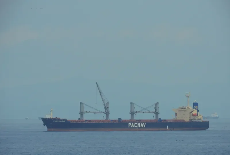 WORLDERA 3 Bulk Carrier IMO 9227792 photo 8