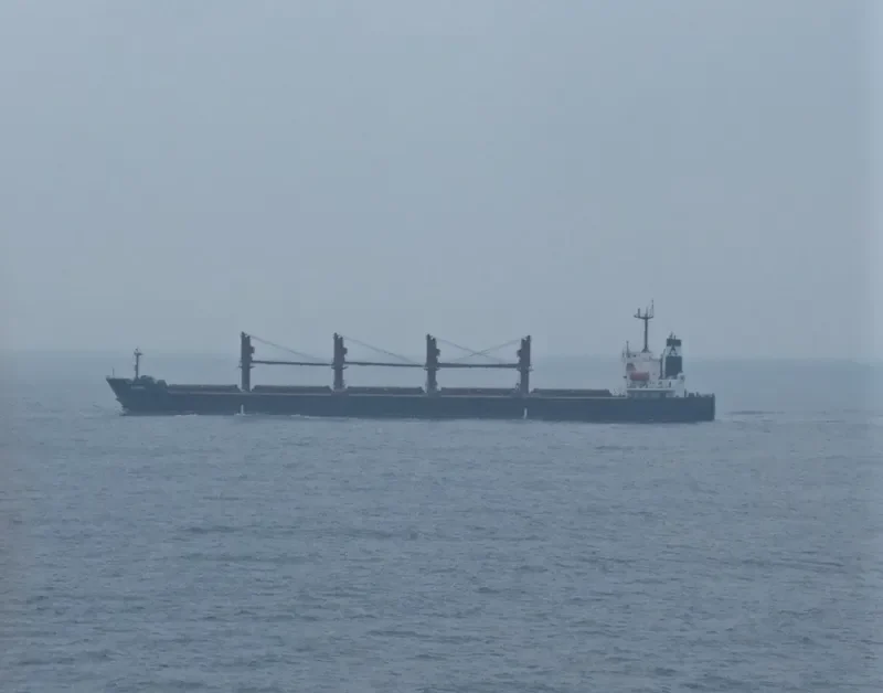 ALITHINI Bulk Carrier IMO 9227821 photo 2