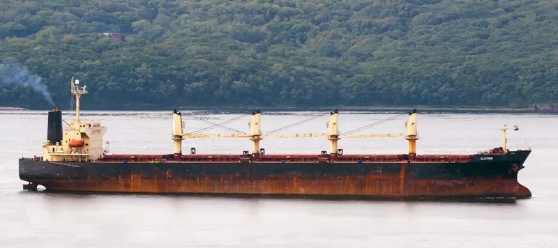 ALITHINI Bulk Carrier IMO 9227821 photo 4