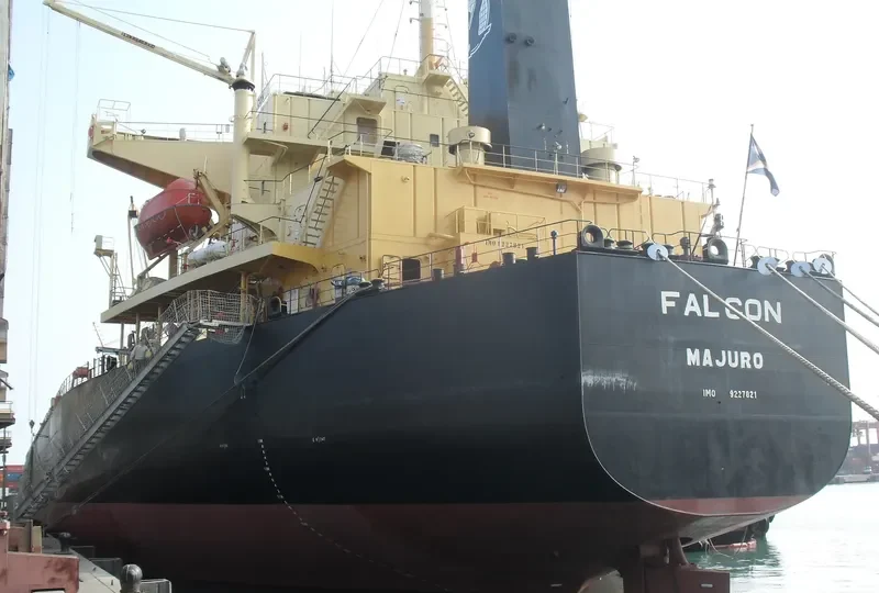 ALITHINI Bulk Carrier IMO 9227821 photo 9