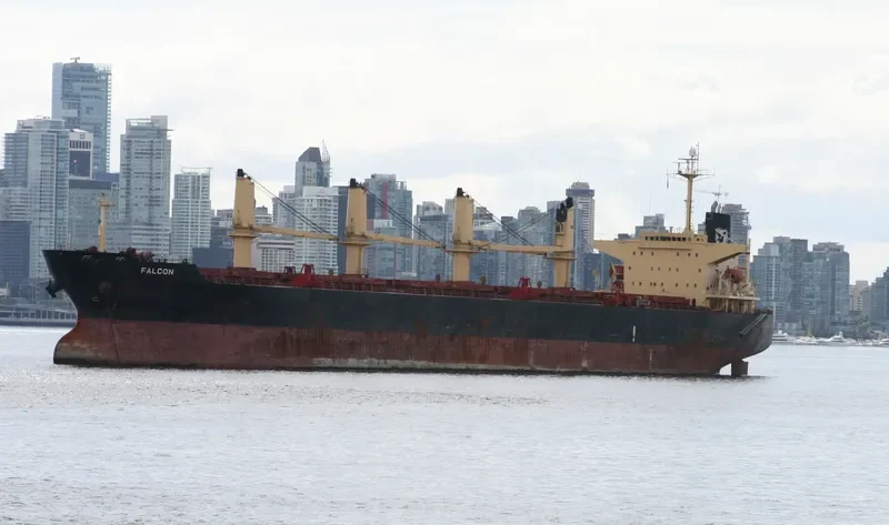 ALITHINI Bulk Carrier IMO 9227821 photo 10