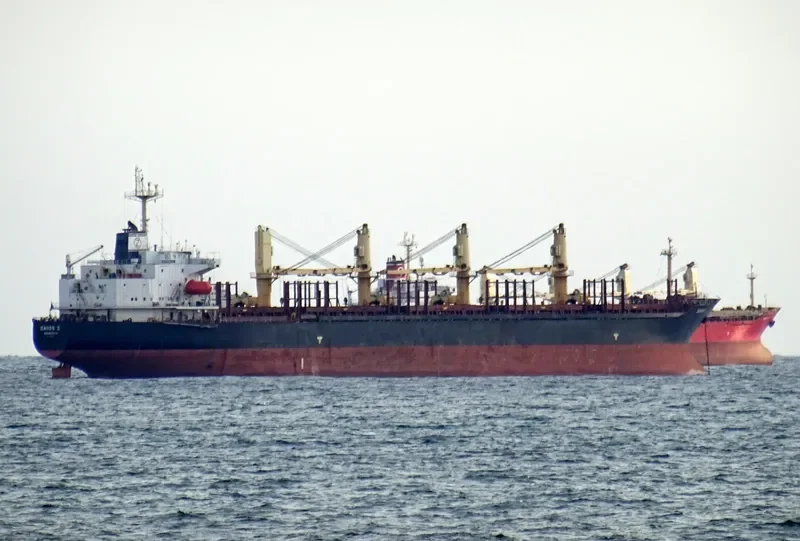 DANOS Z Bulk Carrier IMO 9227833