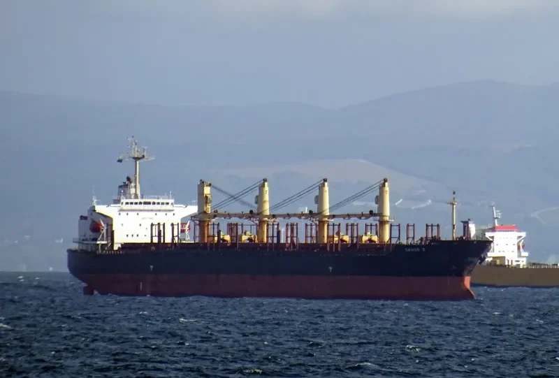 DANOS Z Bulk Carrier IMO 9227833 photo 2