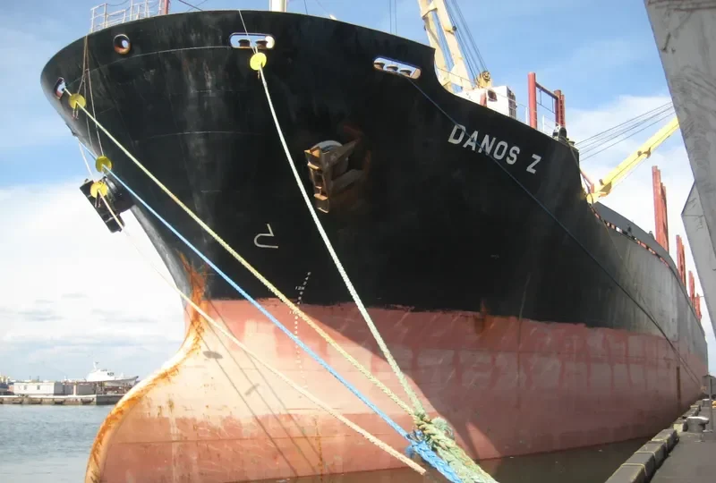 DANOS Z Bulk Carrier IMO 9227833 photo 3