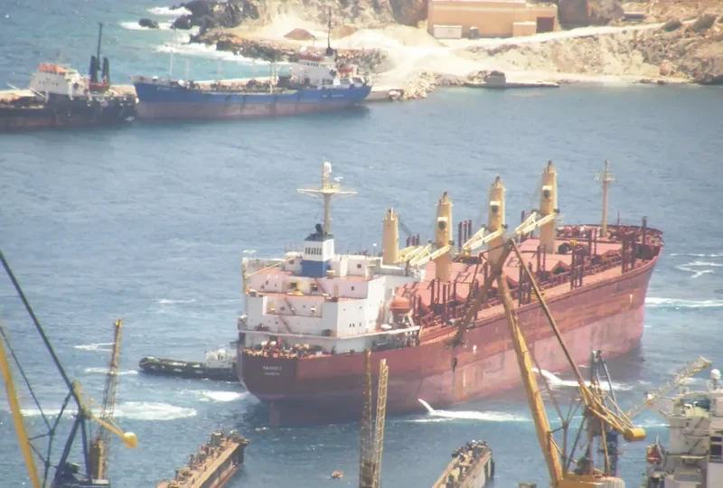 DANOS Z Bulk Carrier IMO 9227833 photo 5