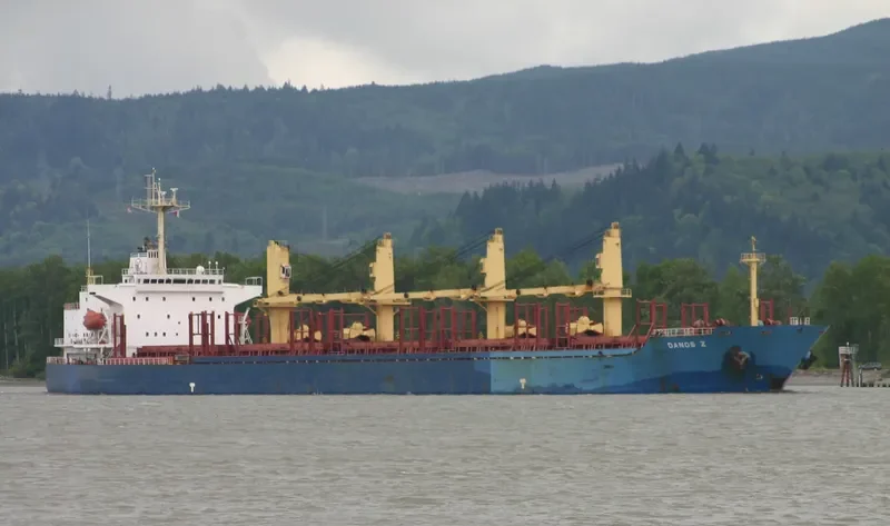 DANOS Z Bulk Carrier IMO 9227833 photo 6