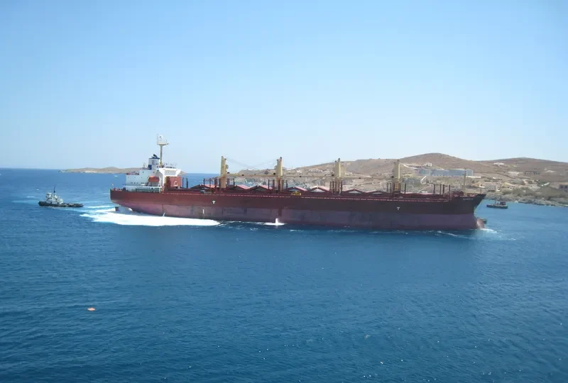 DANOS Z Bulk Carrier IMO 9227833 photo 7