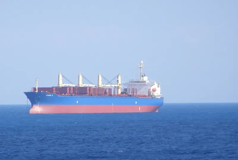 DANOS Z Bulk Carrier IMO 9227833 photo 8