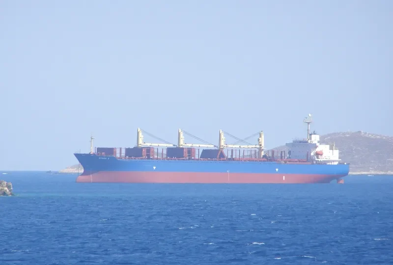DANOS Z Bulk Carrier IMO 9227833 photo 9