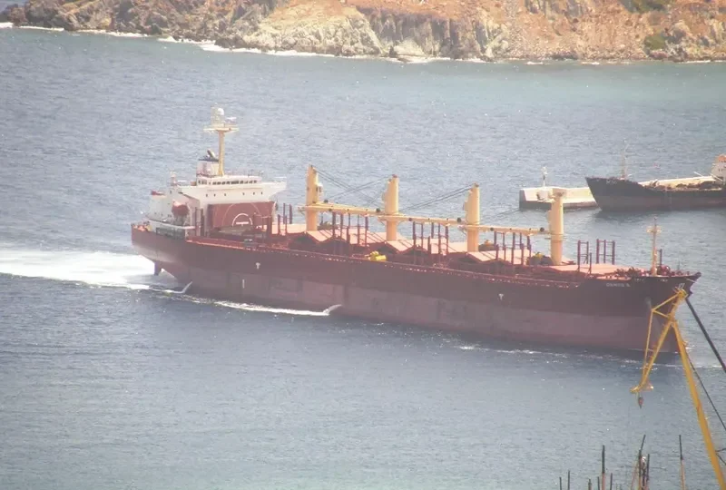 DANOS Z Bulk Carrier IMO 9227833 photo 10