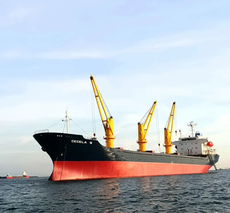 CECELA S Bulk Carrier IMO 9227857 photo 6
