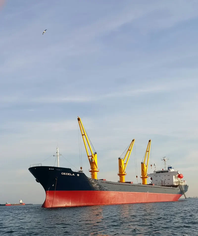 CECELA S Bulk Carrier IMO 9227857 photo 7