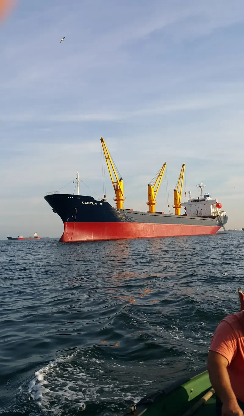 CECELA S Bulk Carrier IMO 9227857 photo 8