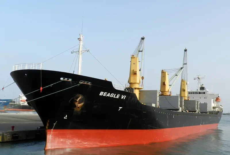 EAGLE Bulk Carrier IMO 9227869