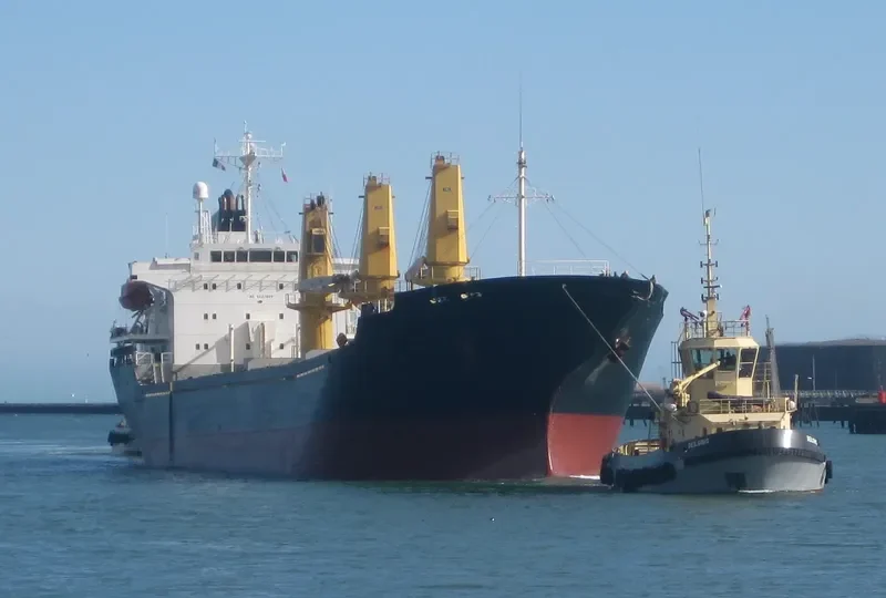EAGLE Bulk Carrier IMO 9227869 photo 10