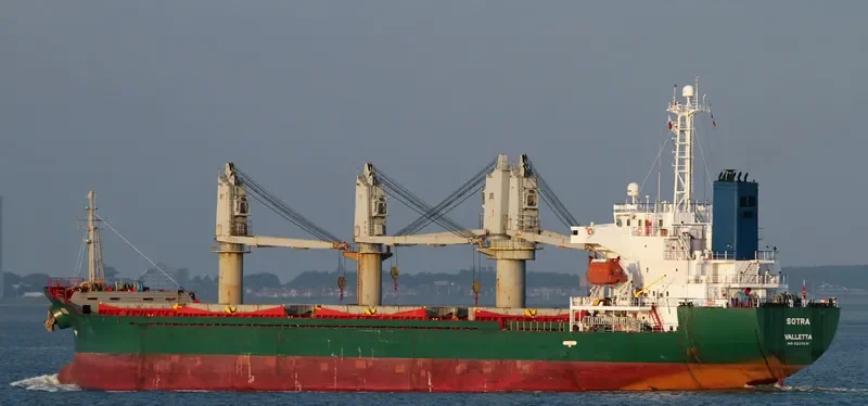 LADY AYSE Bulk Carrier IMO 9227871