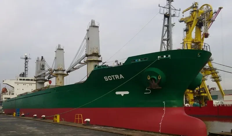 LADY AYSE Bulk Carrier IMO 9227871 photo 4